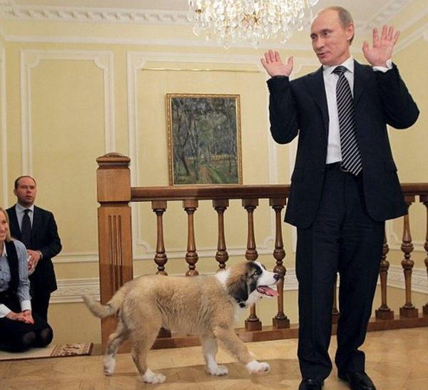 Лучшие фото Путина по версии американцев