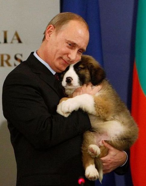 Лучшие фото Путина по версии американцев