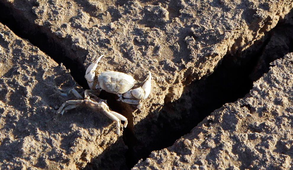 Засуха и лесные пожары в Техасе