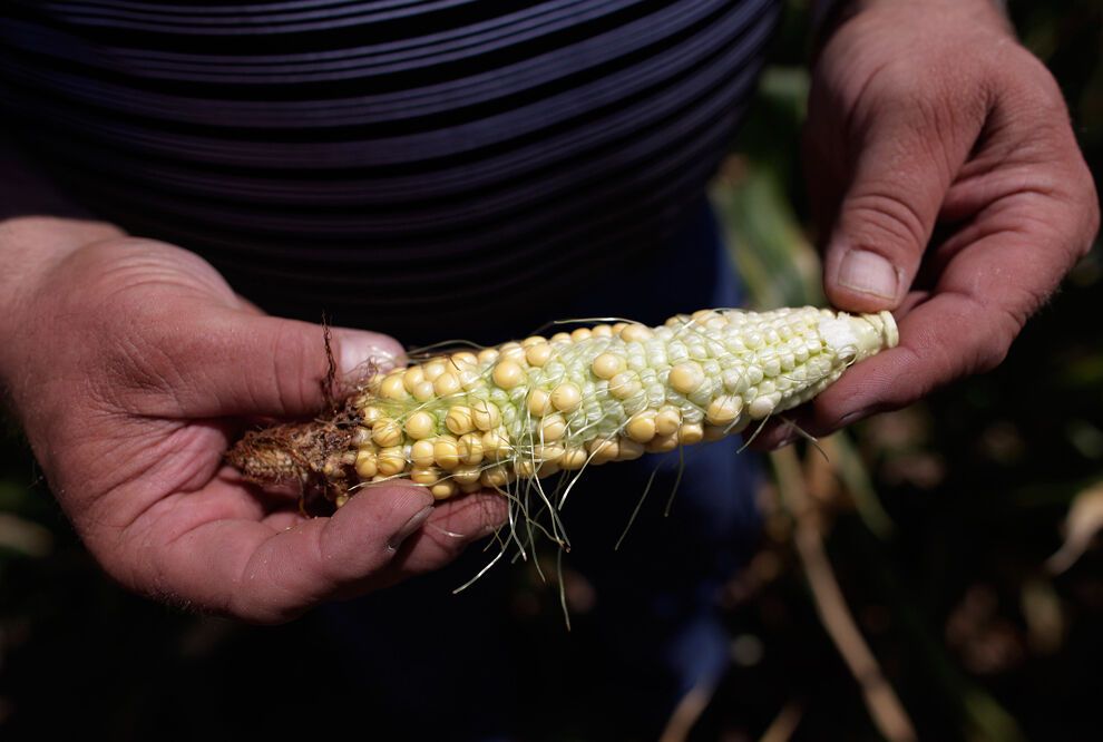 Засуха и лесные пожары в Техасе