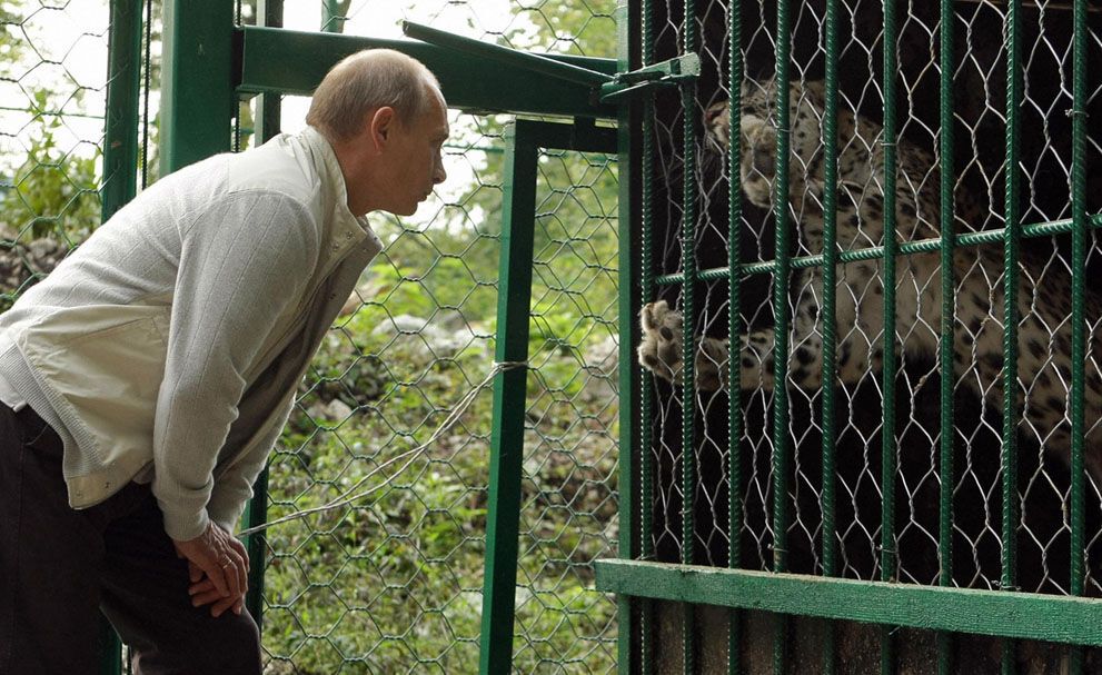 Путин и его знаменитый “мачизм”