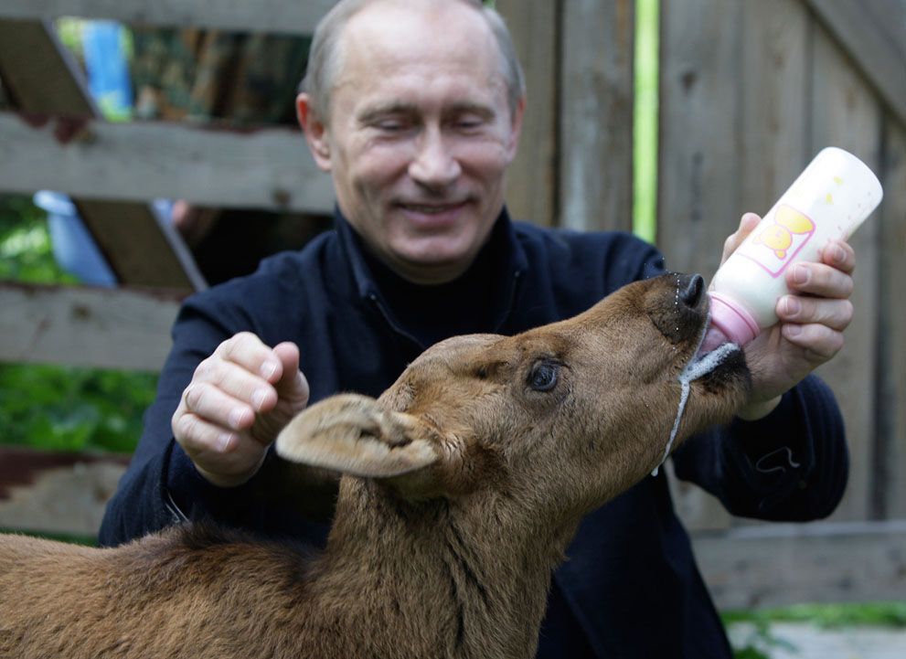 Путин и его знаменитый “мачизм”