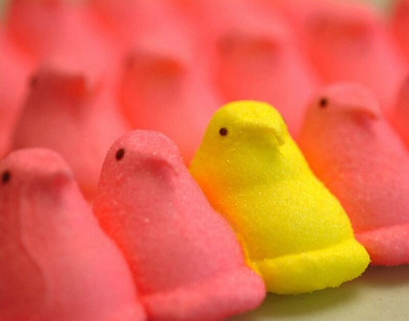 Лучшие мировые фотографы еды