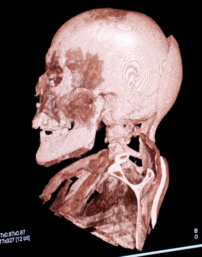 Виставка "Мумії світу" у Філадельфії