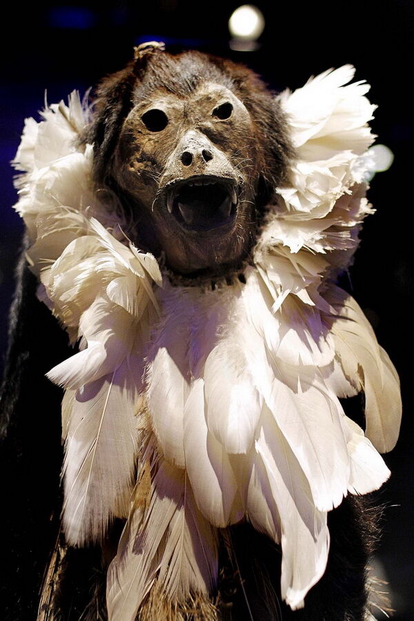 Виставка "Мумії світу" у Філадельфії