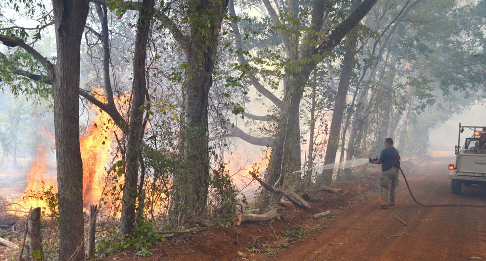 Лісові пожежі вирують в Техасі