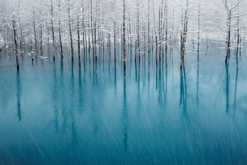 Переможці фотоконкурсу National Geographic 2011