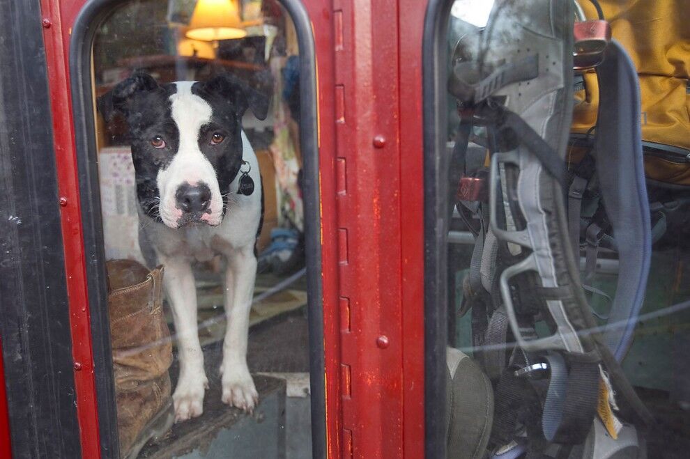 Життя в автобусі