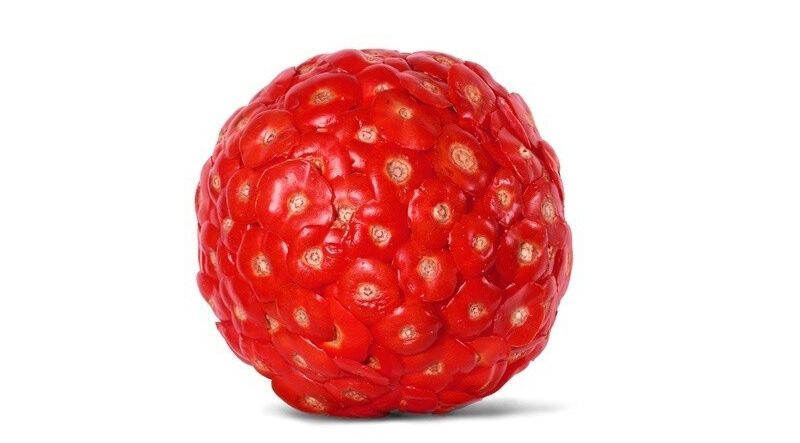 Антигламурні фуд-фото від Нира Адара