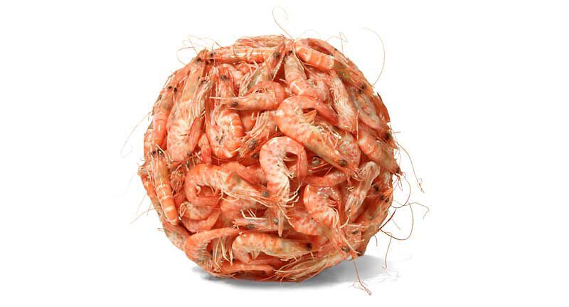 Антигламурні фуд-фото від Нира Адара