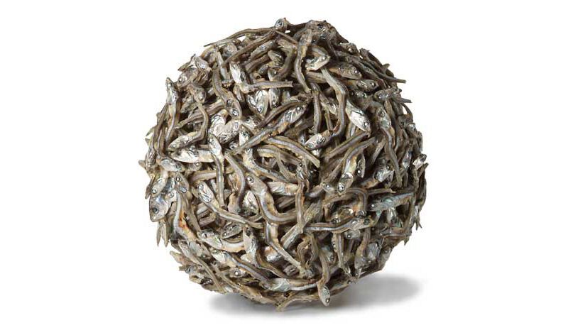 Антигламурні фуд-фото від Нира Адара