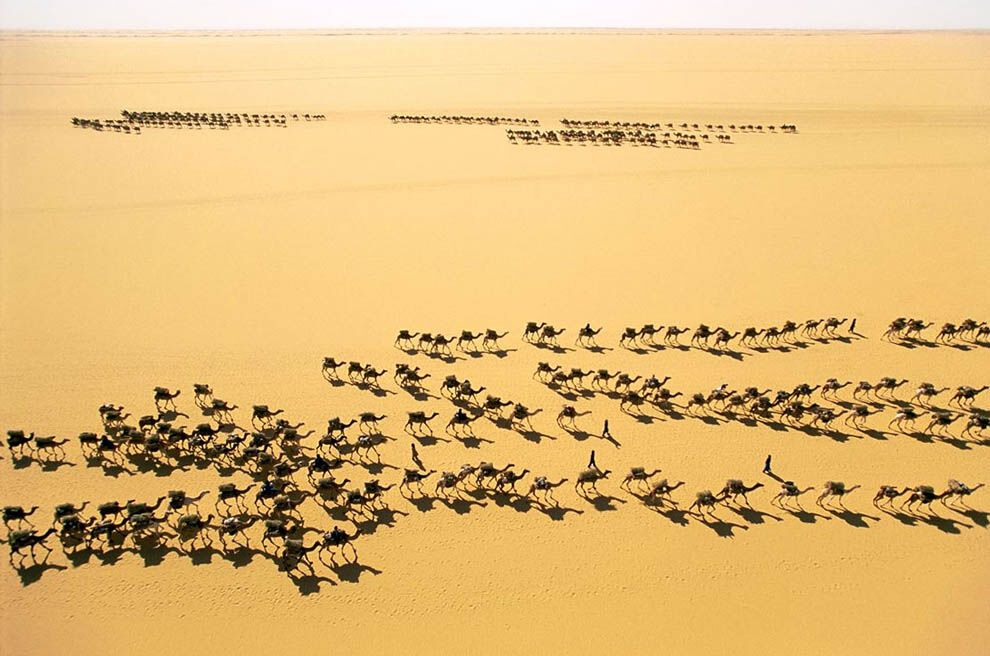 8. Караваны в Фахи, Нигер. (George Steinmetz)