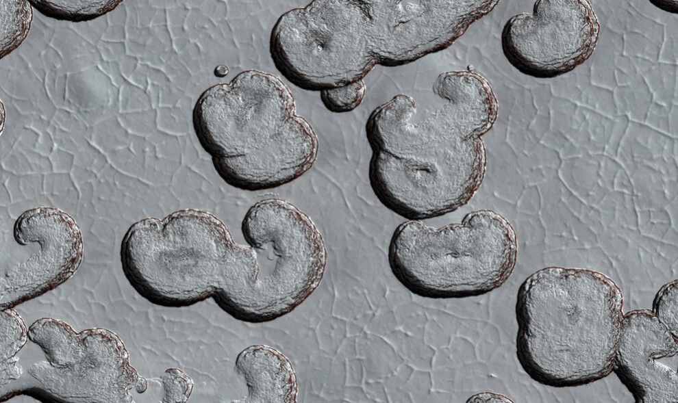 НАСА після польотної програми шатлів