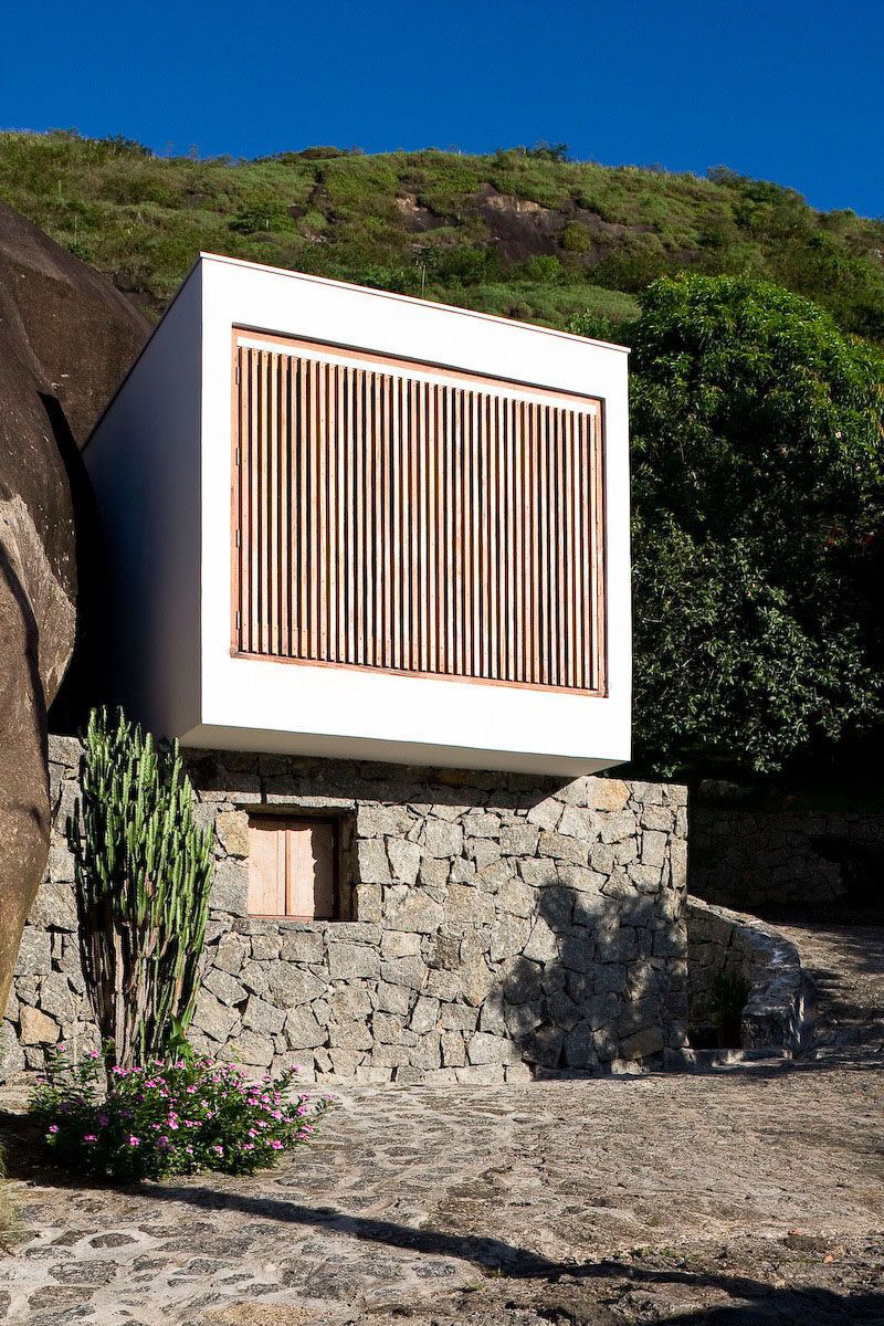 Життя в ящику