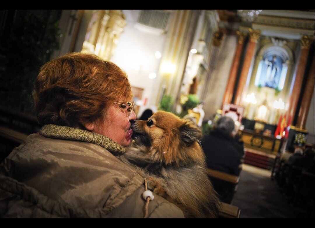 День Святого Антонія