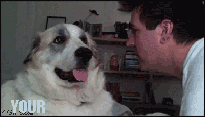 Составлен Топ-50 прикольных анимированных фотографий. Фото