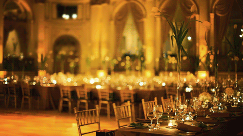 Составлен Топ-50 прикольных анимированных фотографий. Фото