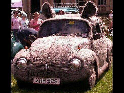 Самые необычные автомобили в мире. Фото 