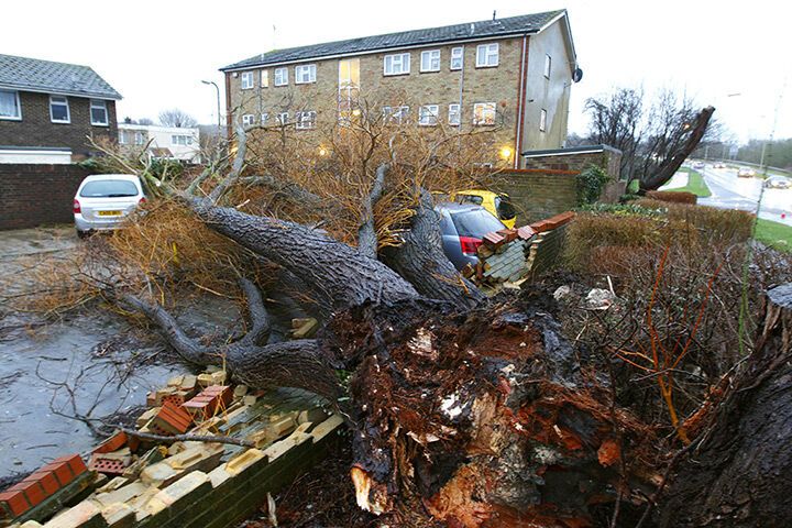 Европа страдает от непогоды: повалены деревья, разбиты автомобили. Фото, видео
