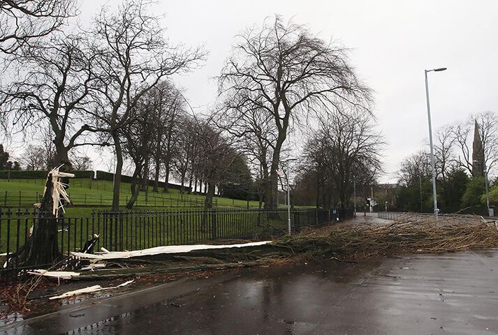 Европа страдает от непогоды: повалены деревья, разбиты автомобили. Фото, видео