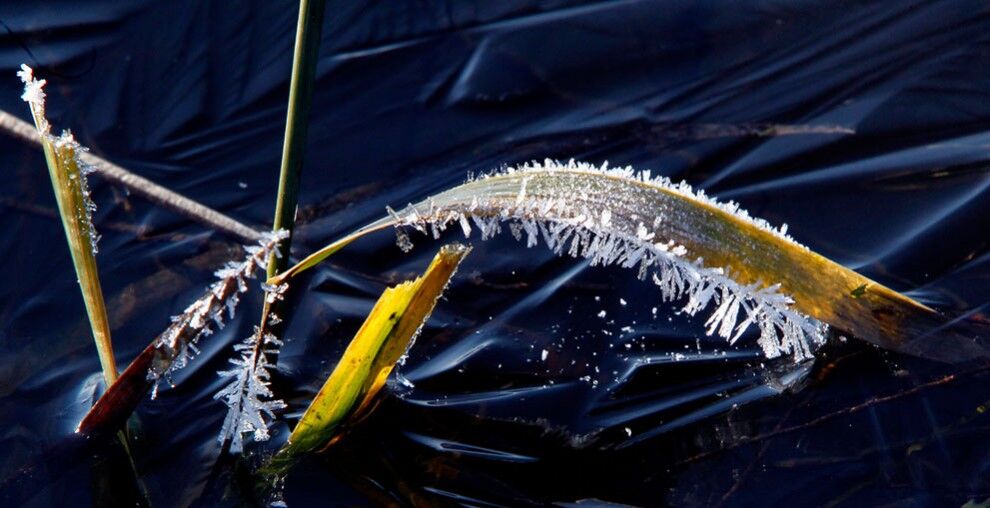 Подборка зимних пейзажей со всего света