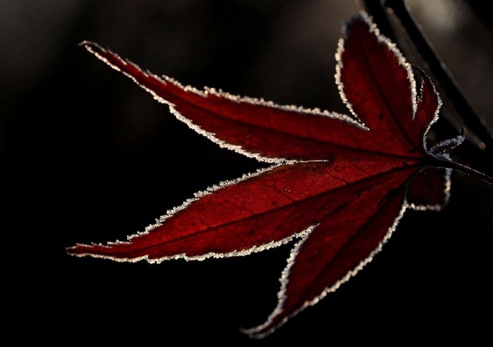 Подборка зимних пейзажей со всего света