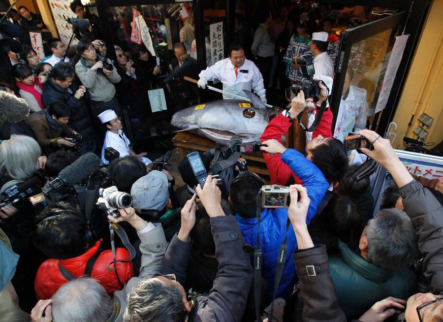 У Японії обробили велетенського тунця за 736 тисяч доларів