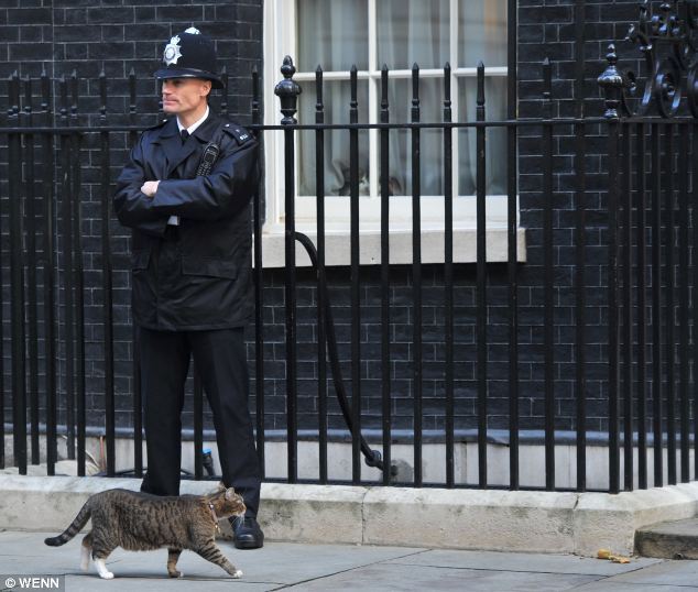 У Британії побилися коти прем'єра і глави Мінфіну. Фото