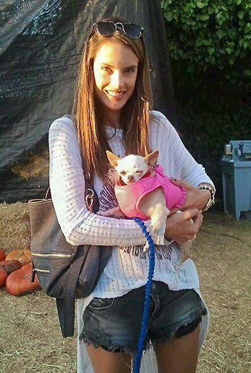 Амбросио провела дочь за тыквами. Фото