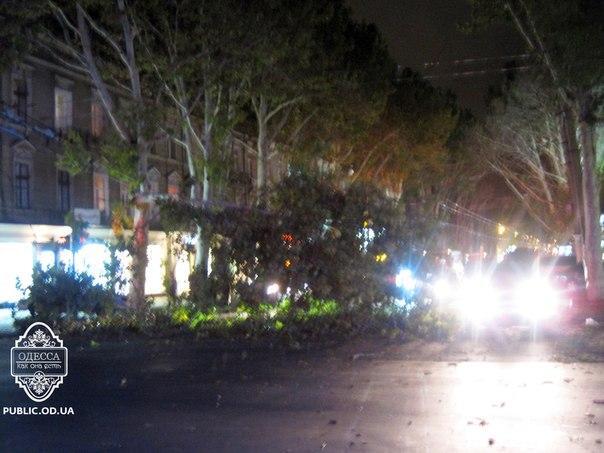 Ураган в Одесі повалив дерева та обривав дроти