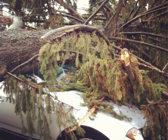 Как ураган топил авто в США: сравниваем с Украиной. Фото