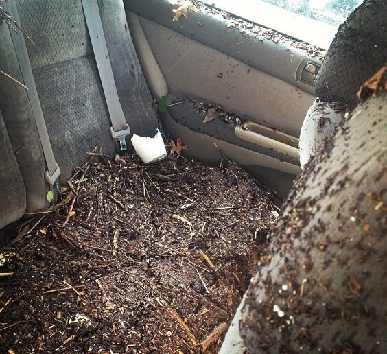 Как ураган топил авто в США: сравниваем с Украиной. Фото