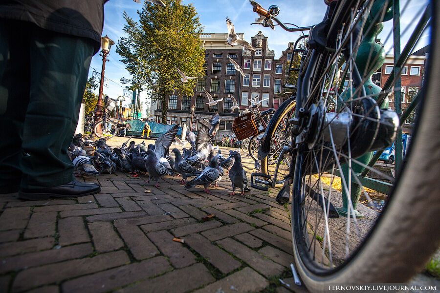 Велосипедный рай в Амстердаме