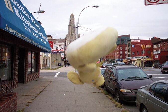 Фотографии, которые никто никогда не покупал 