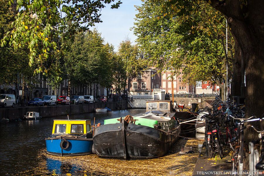 Велосипедный рай в Амстердаме
