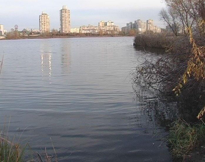 В Киеве мужчина без штанов чудом выбрался из тонущей машины. Фото