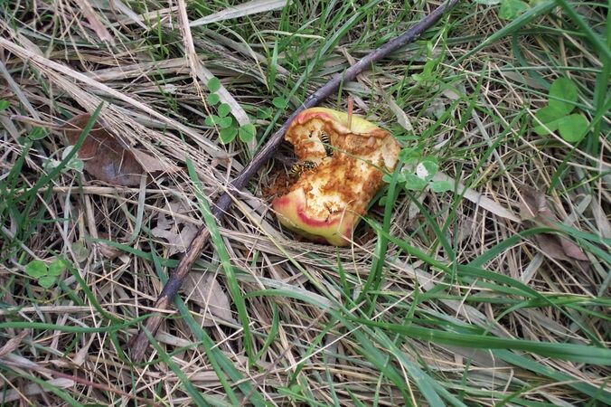 Фотографии, которые никто никогда не покупал 