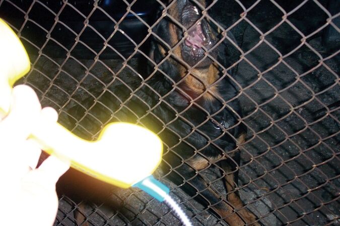 Фотографии, которые никто никогда не покупал 