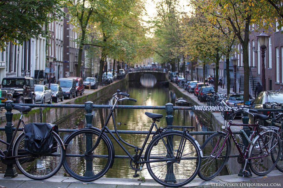 Велосипедный рай в Амстердаме