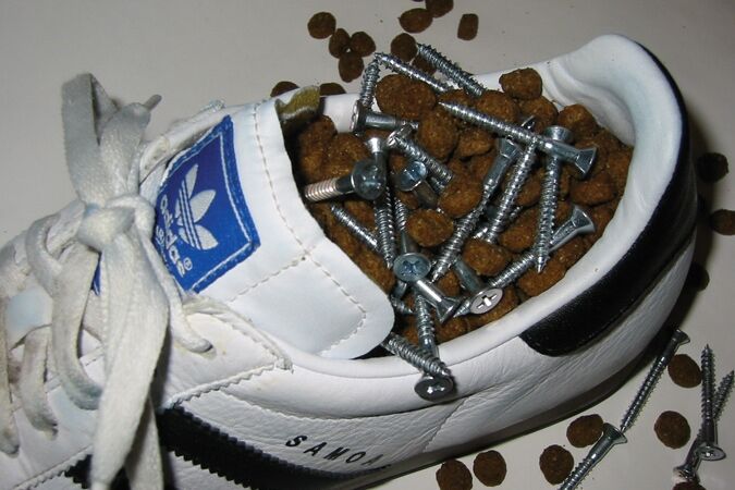 Фотографии, которые никто никогда не покупал 