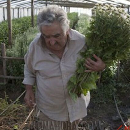 Самый бедный президент в мире показал свое имущество