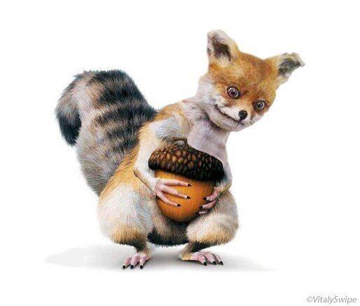 Интернет-звезду "Упоротый лис" продали на аукционе. Фото