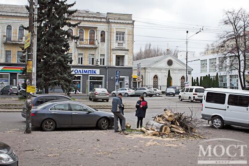 У Дніпропетровську на двох жінок впало величезне дерево. Фото