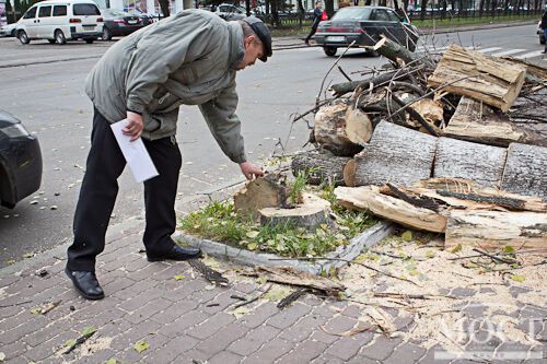 У Дніпропетровську на двох жінок впало величезне дерево. Фото