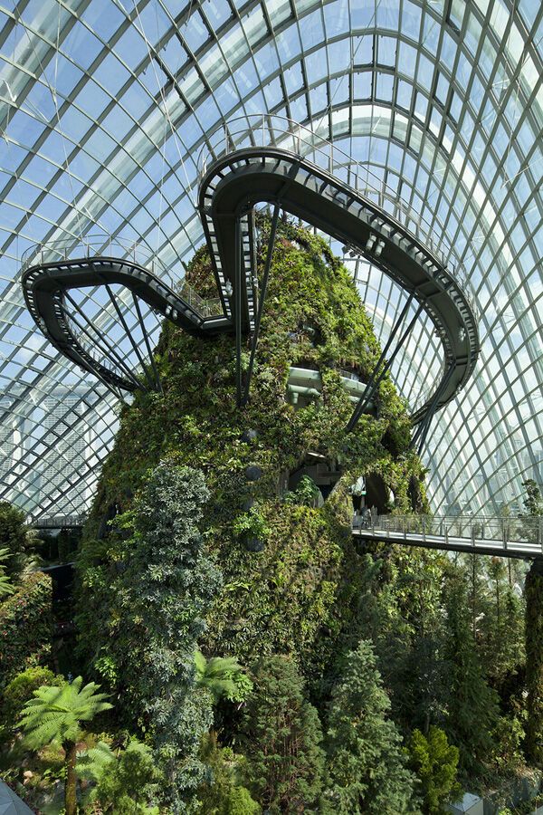 Оранжереи Сингапура