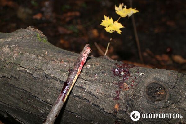 Убитого с паспортом Мазурка нашли возле бомжей