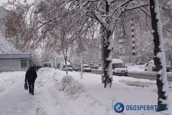 В Киеве зафиксировали рекордное налипание мокрого снега