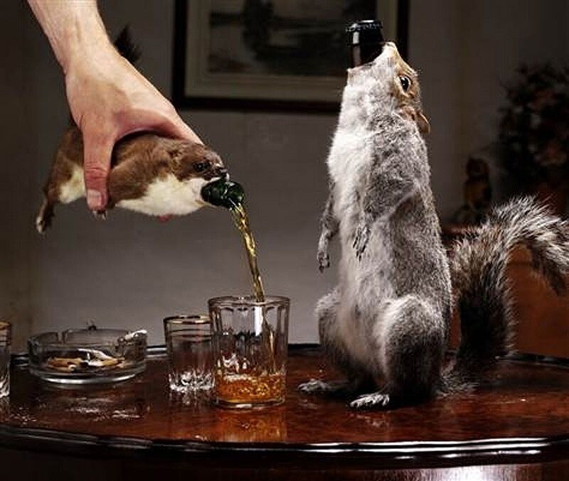 unusualdrinks 7 10 самых необычных алкогольных напитков в мире