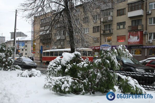 Зима в Киеве: падают деревья, крыши, люди