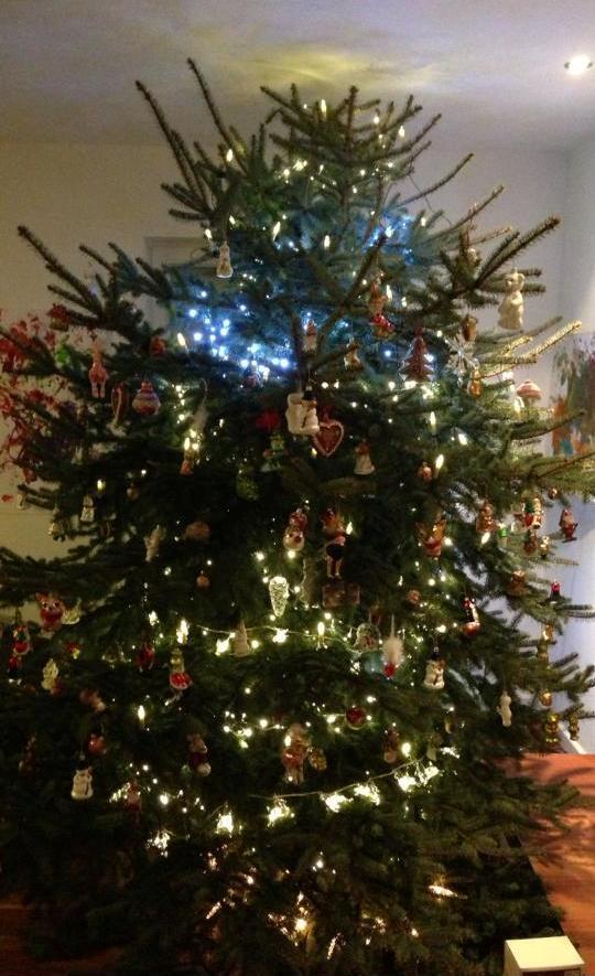 Капитан сборной Украины нарядил новогоднюю елку. Фото